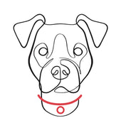 ngcollars.com icon