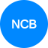 nghienchaybo.com icon