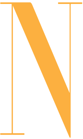 nguoinoitieng.net icon