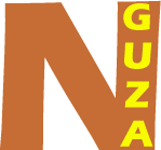 nguza.com icon