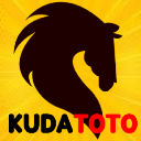 nhapa.org icon