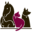 nhspca.org icon