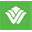 niagarafallswyndham.com icon