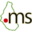 nic.ms icon