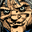 nightowlpro.com icon