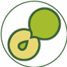 nihoncha-inst.com icon