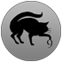 ninelivesassociate.com icon