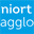 niortagglo.fr icon