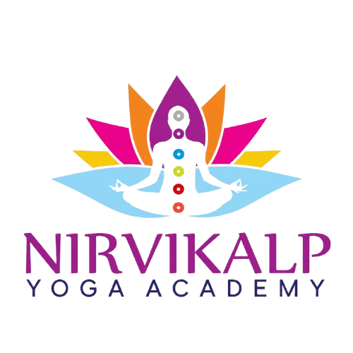 nirvikalpyogaacademy.com icon