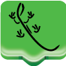 nizex.com logo