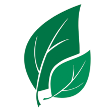 njparenting.com icon