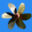 nmgl.org icon