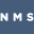 NMS capital logo