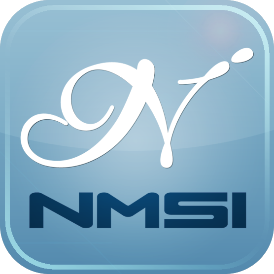 nmsigroup.com icon