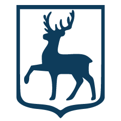 nn-invest.ru icon