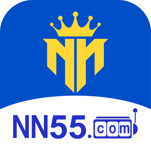 nn55.com icon