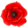 nnrailway.co.uk icon