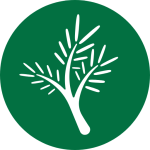 noblecu.com icon