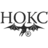 noksknives.ru icon