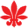 nolacannabisdispensary.com icon