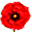 nolongeraslumdog.org icon