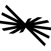 nonlinear.co icon