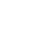 nopxus.com logo