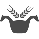 norbrygg.no icon