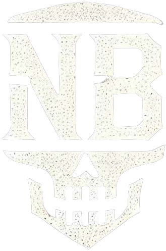 nordicbytes.org icon