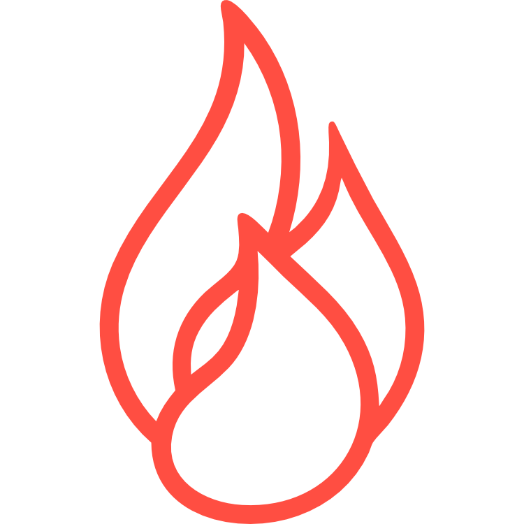 nordicmission.org icon