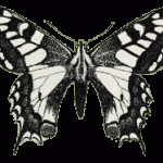 norfolknaturalists.org.uk icon