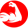 northamericanbodies.com icon