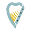 northstardentalcenter.com icon