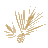northstatebank.com icon