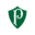 nossopalmeiras.com.br icon
