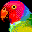 nosvolieres.com icon
