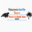 noumeaturtletours.com icon