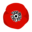 nousvoulonsdescoquelicots.org icon