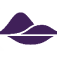 novaparadiso.com icon