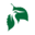 Algonkian Mini Golf logo