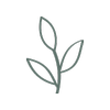 novemberdesignstudio.com icon