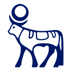 novoalapar.com.ar icon