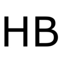 novostivoronezha.ru icon
