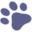 nowzad.com icon