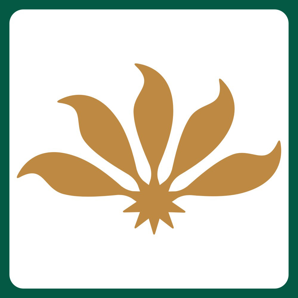 nphdwjc.com icon