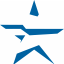 nsdigital.ru logo
