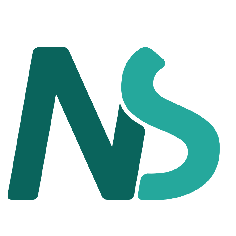 nstechvalley.com icon
