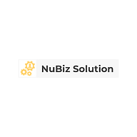 nubizsolution.com icon