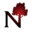 nuckleboisdefoyer.com icon