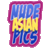 nudeasianpics.net icon